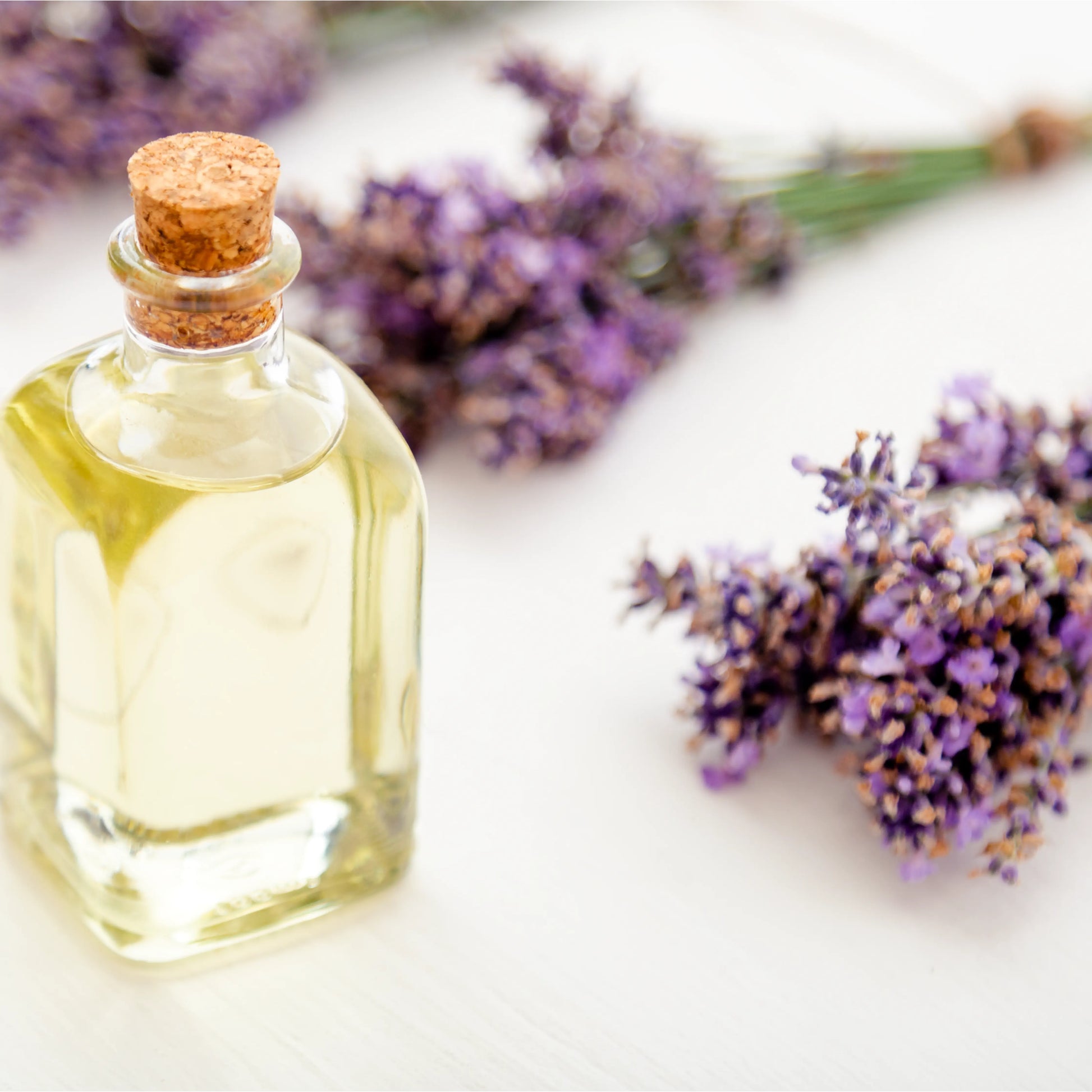 Lavender_Oil_1