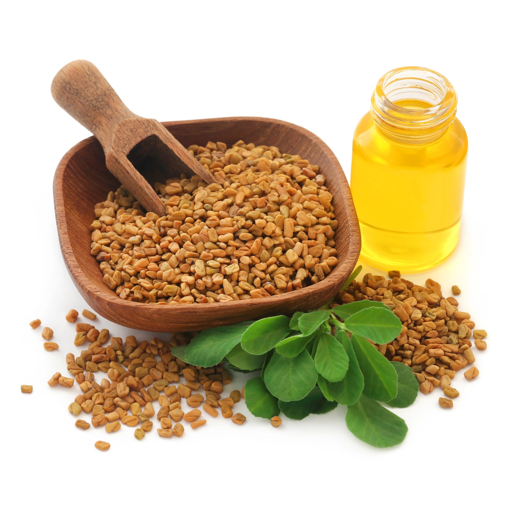 Fenugreek_Seed_Oil_1