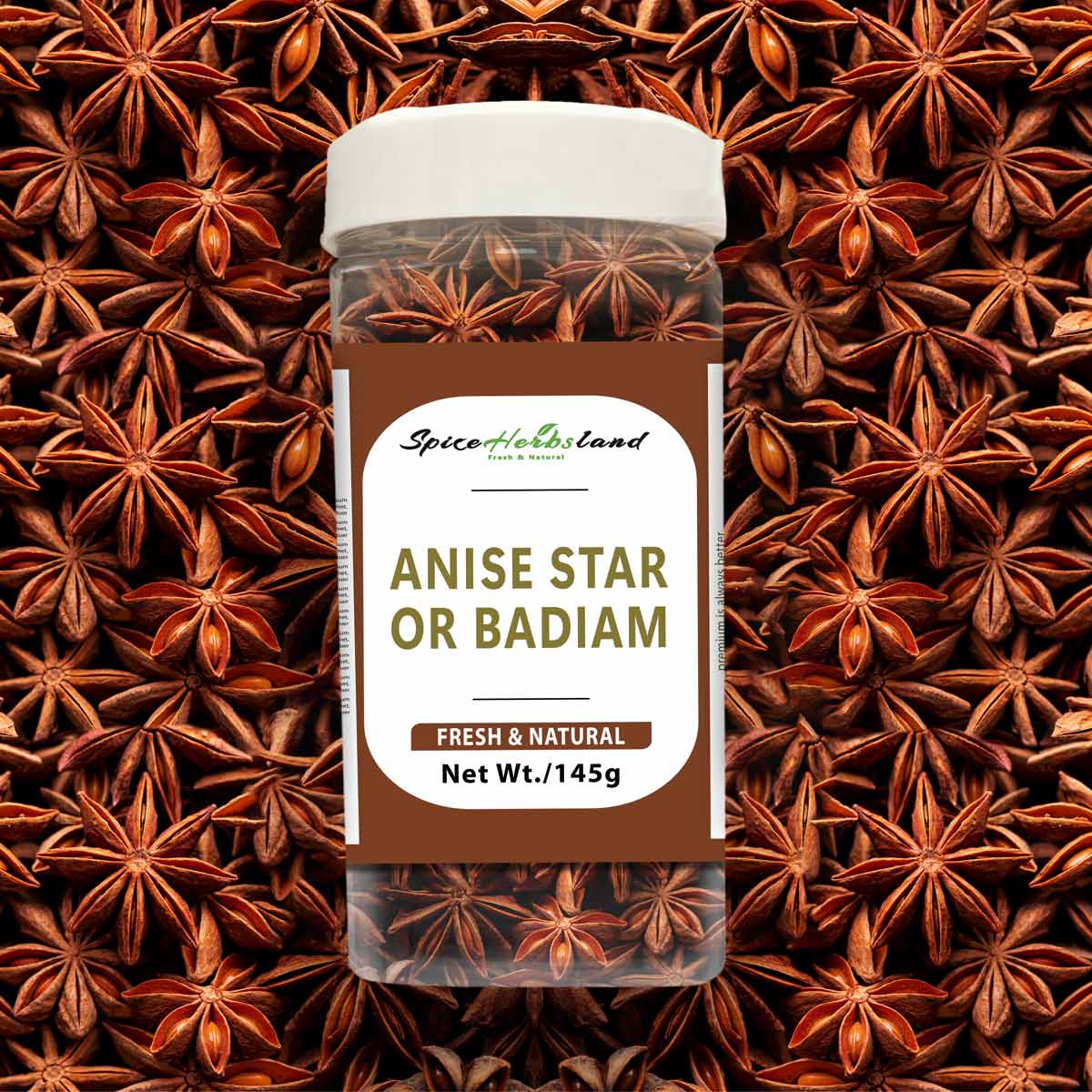 Anise_star_or_Badiam_SH3_P