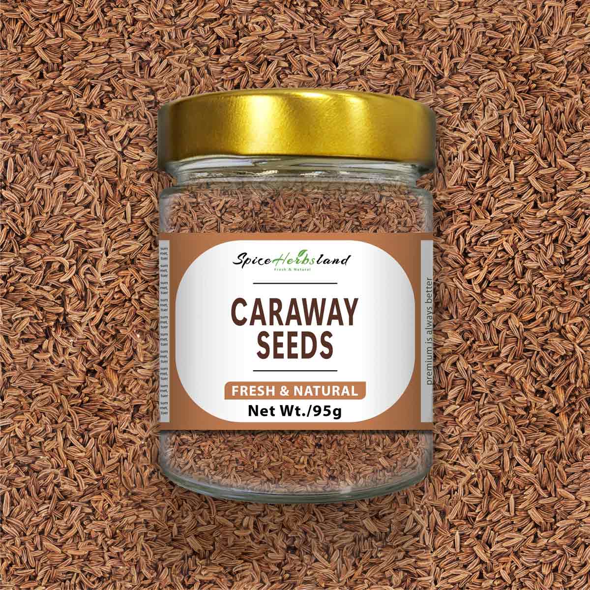 Caraway_seeds_SH13