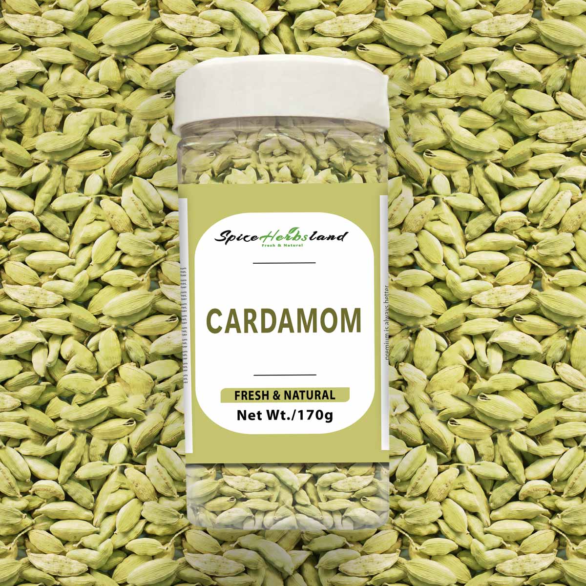 Cardamom_SH12_P