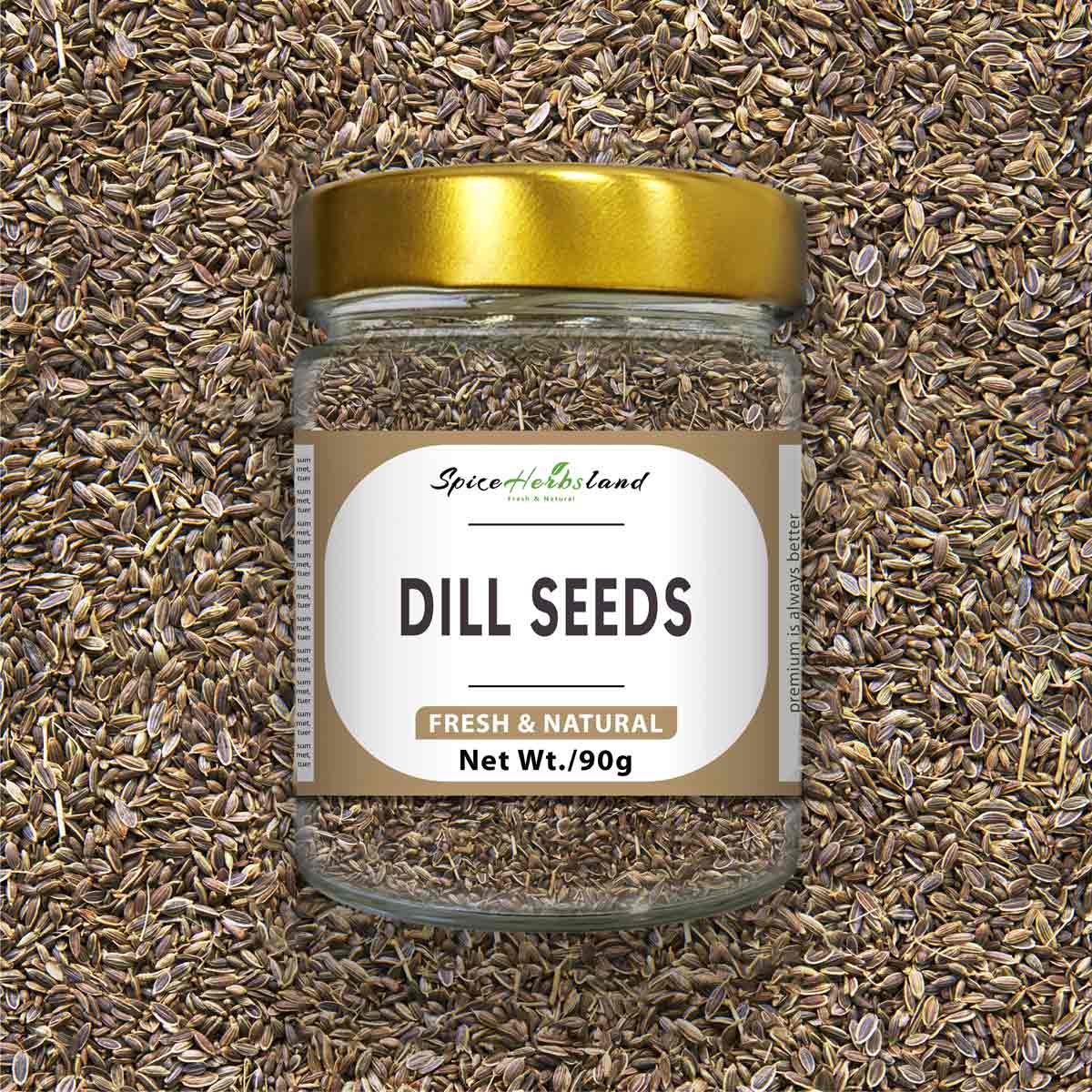 Dill_seeds_SH8