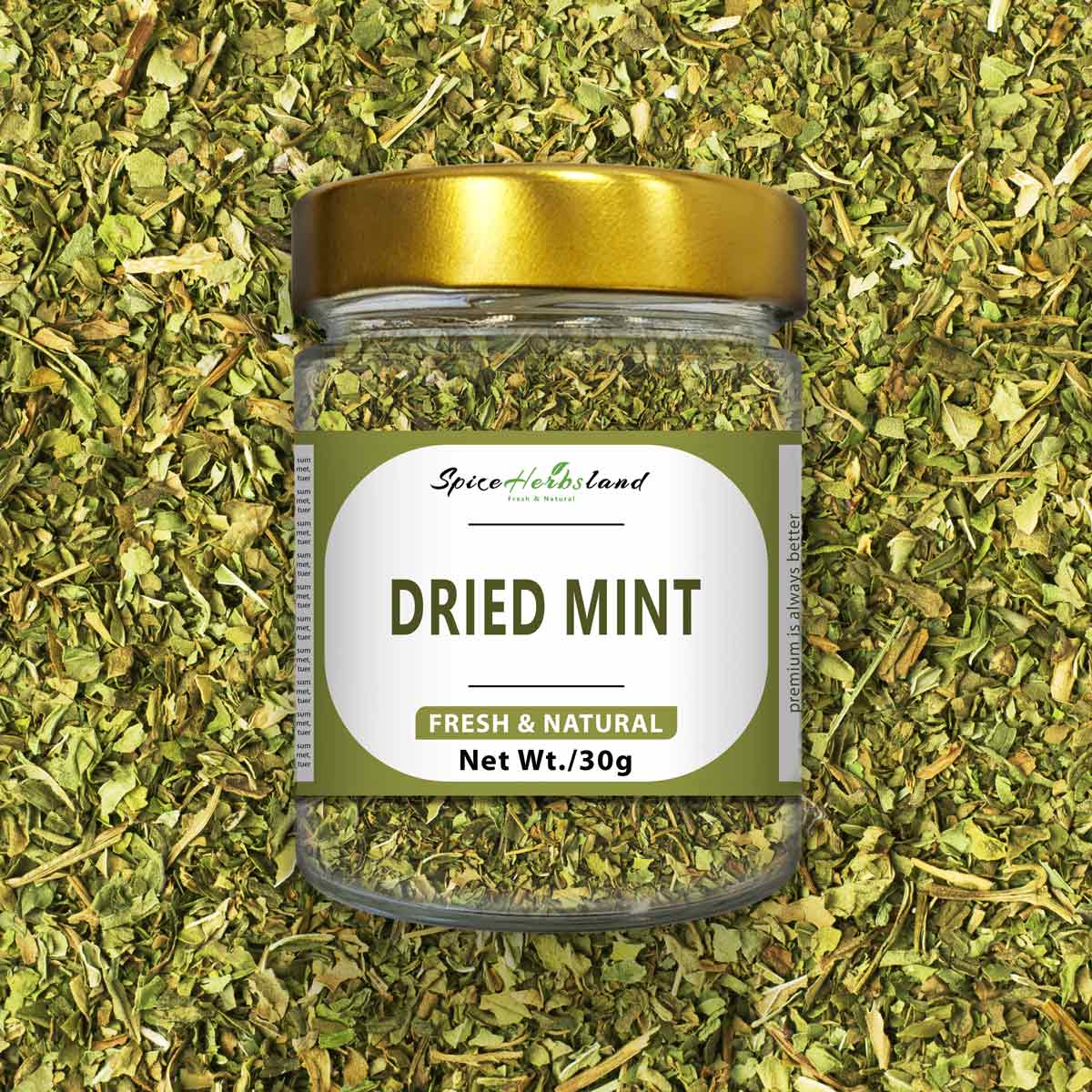 Dried_mint_Sh114