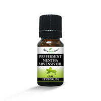 Peppermint_Mentha_Arvensis_Oil_E013