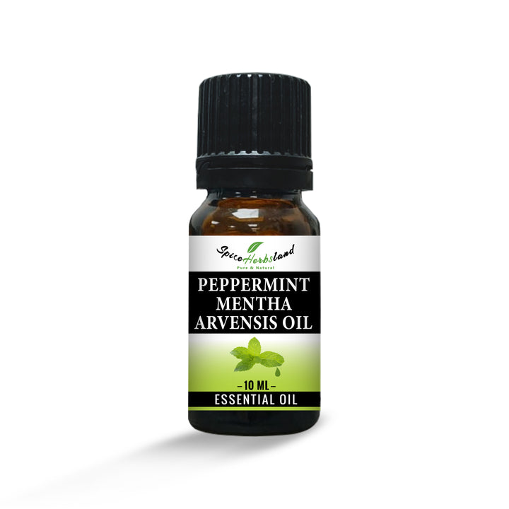 Peppermint_Mentha_Arvensis_Oil_E013