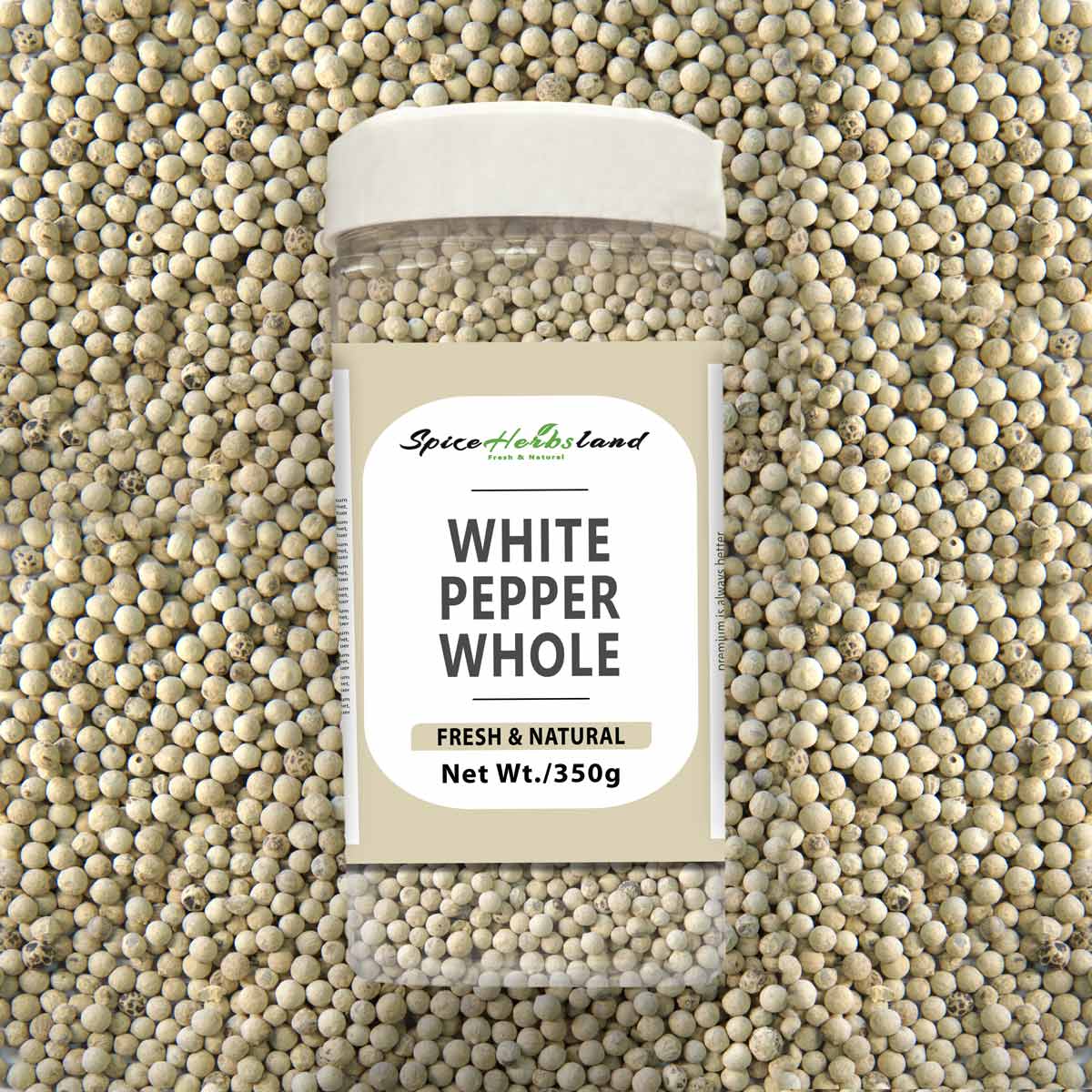 White_pepper_whole_SH21_P