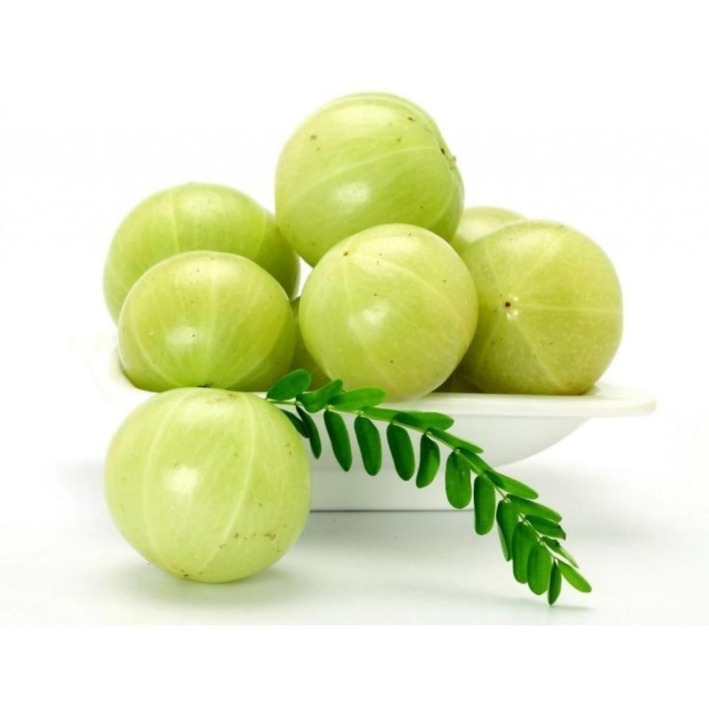 Amla Oil