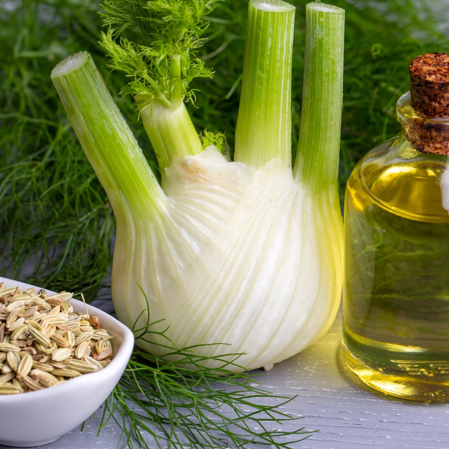 Fennel Sweet Oil