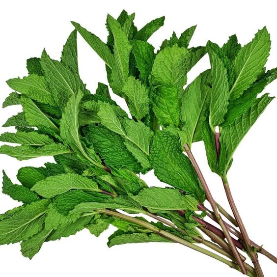 Dried mint