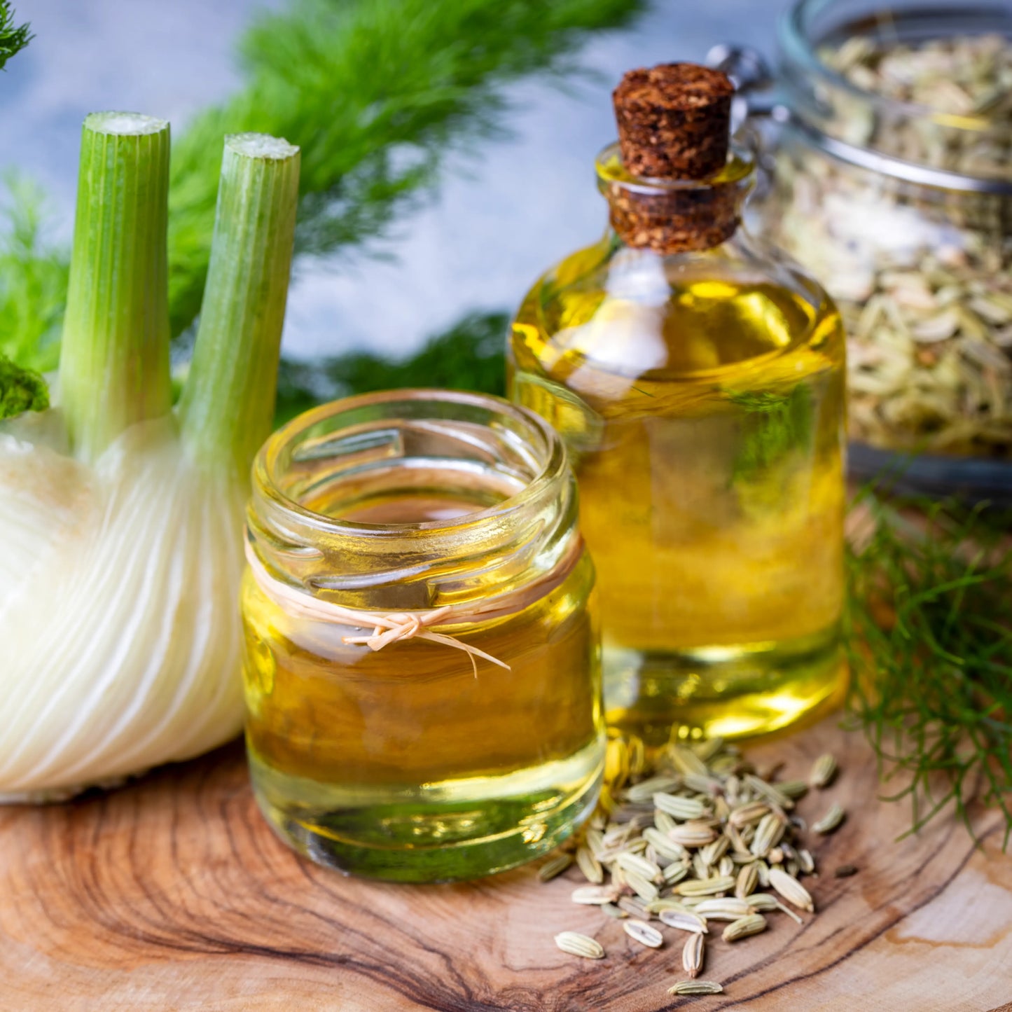 Fennel Sweet Oil