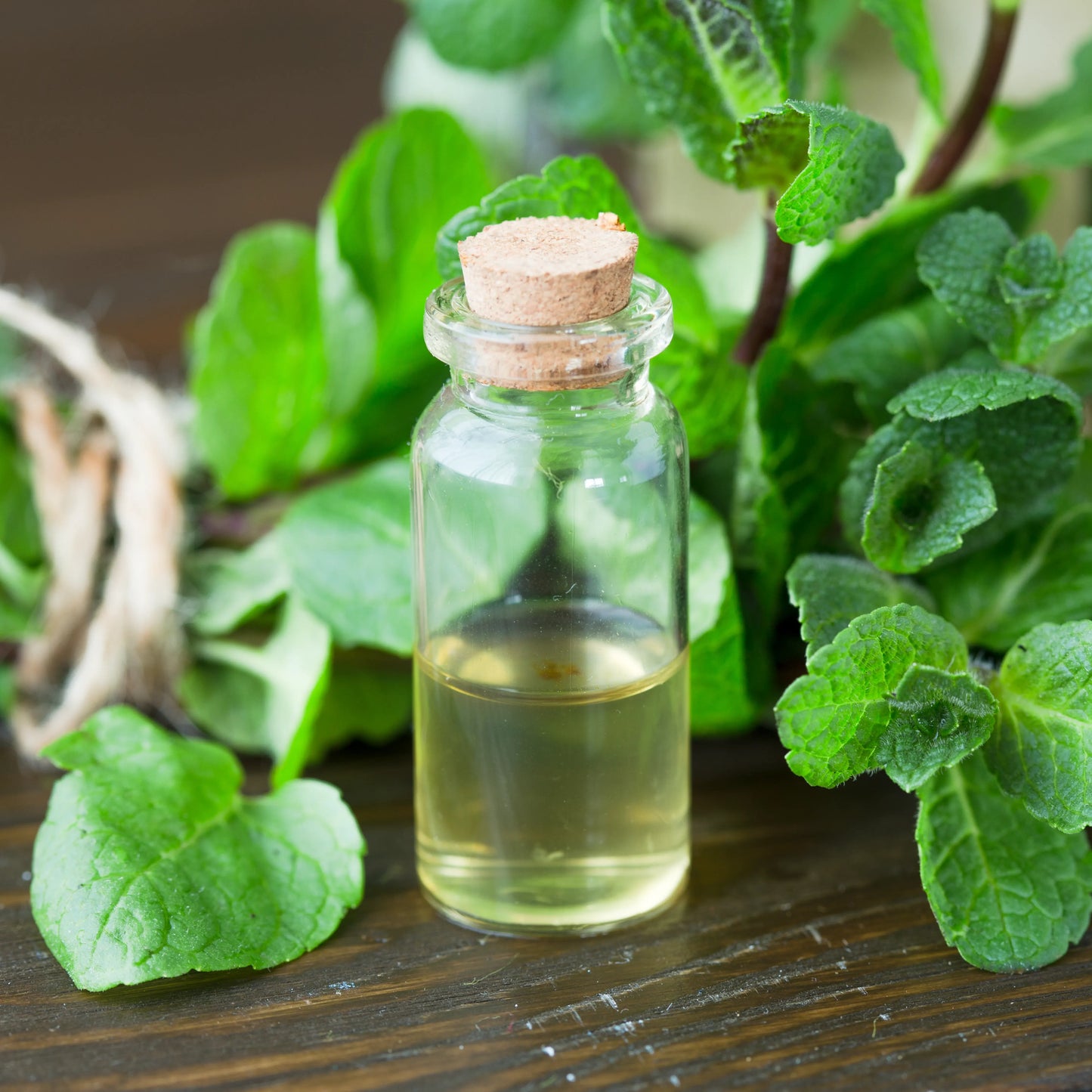 Peppermint Mentha Arvensis Oil