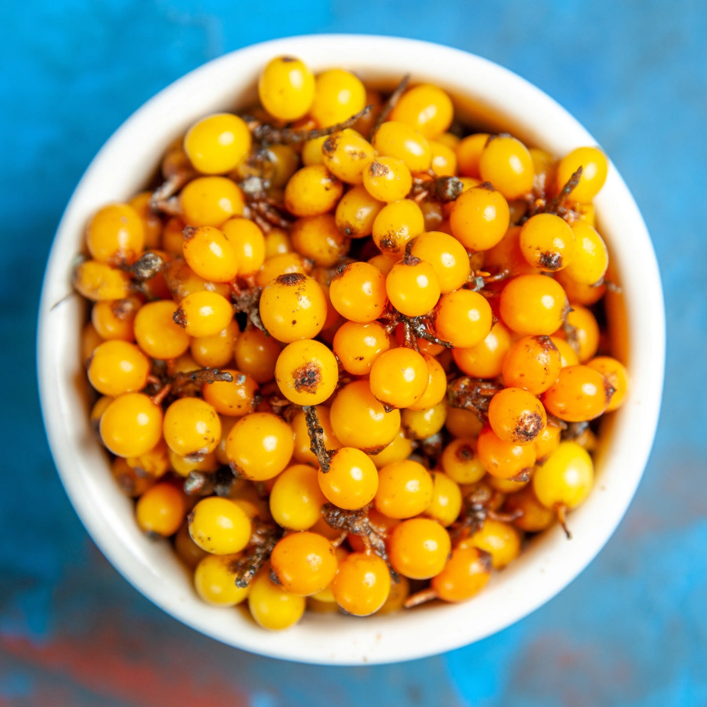 Seabuckthorn Fruit Pulp Oil