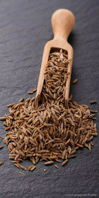 Cumin seeds