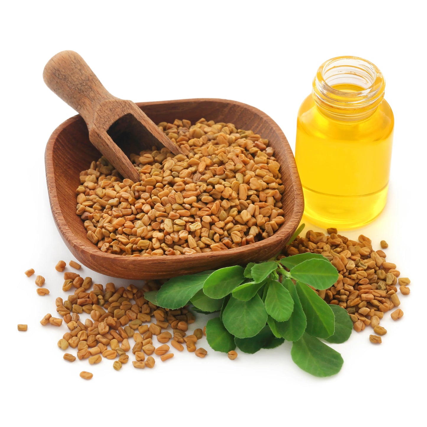 Fenugreek Seed Oil