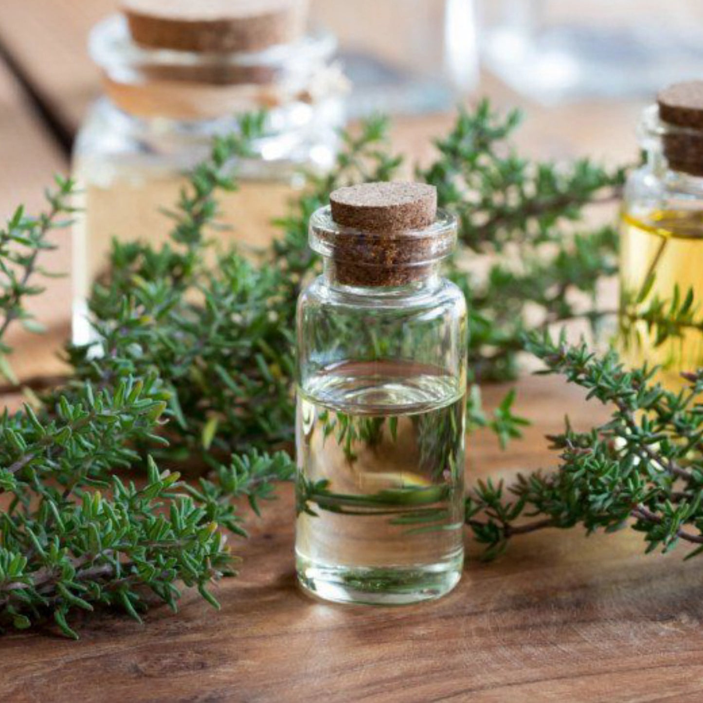 Thyme Oil