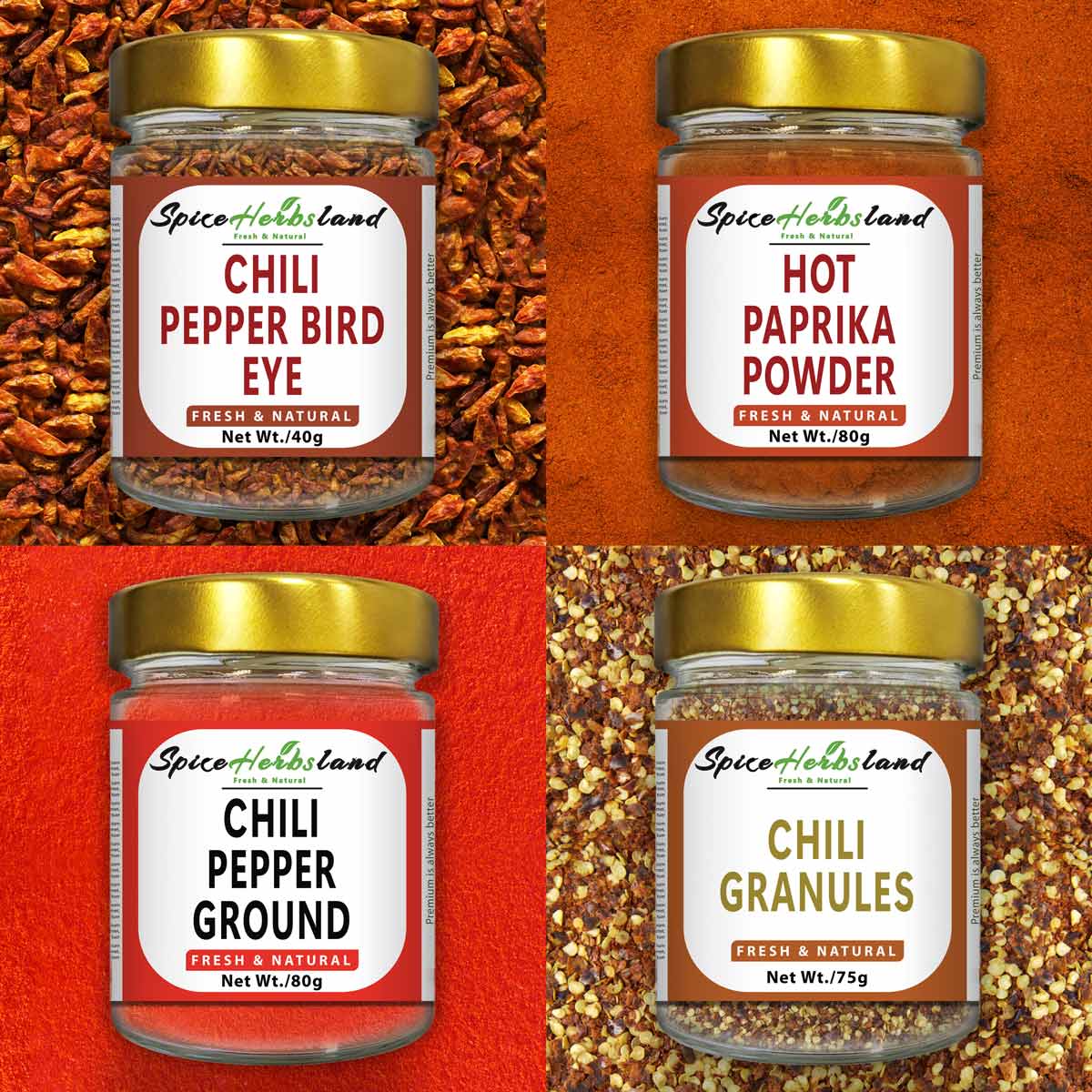 Chili collection - Pack of 4