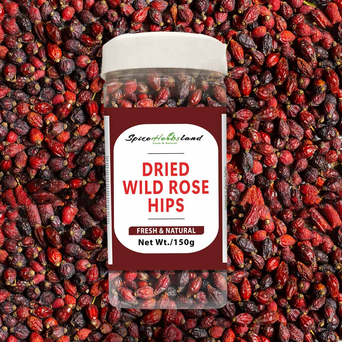 Dried wild rose hips