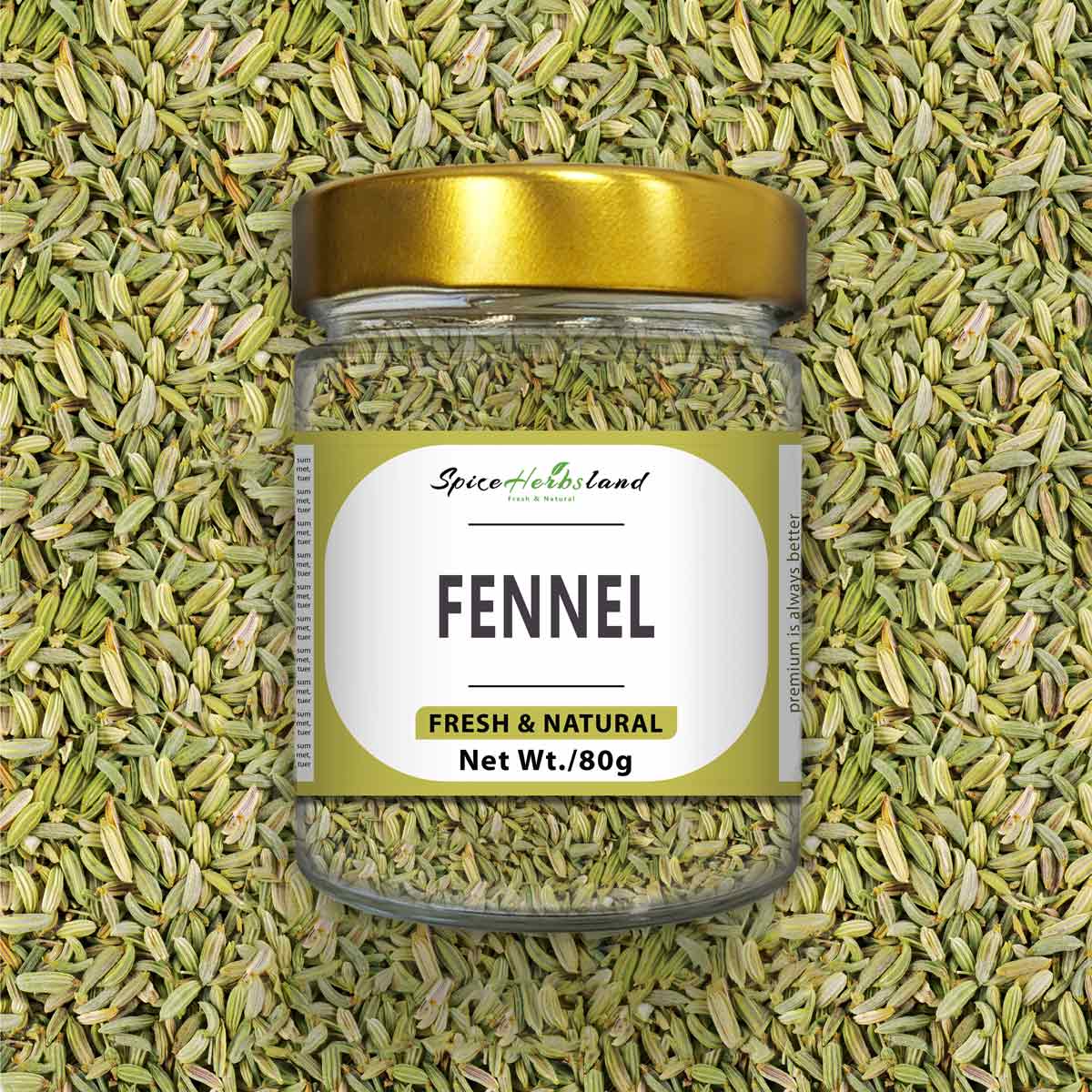 Fennel