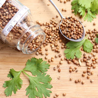 Coriander seeds