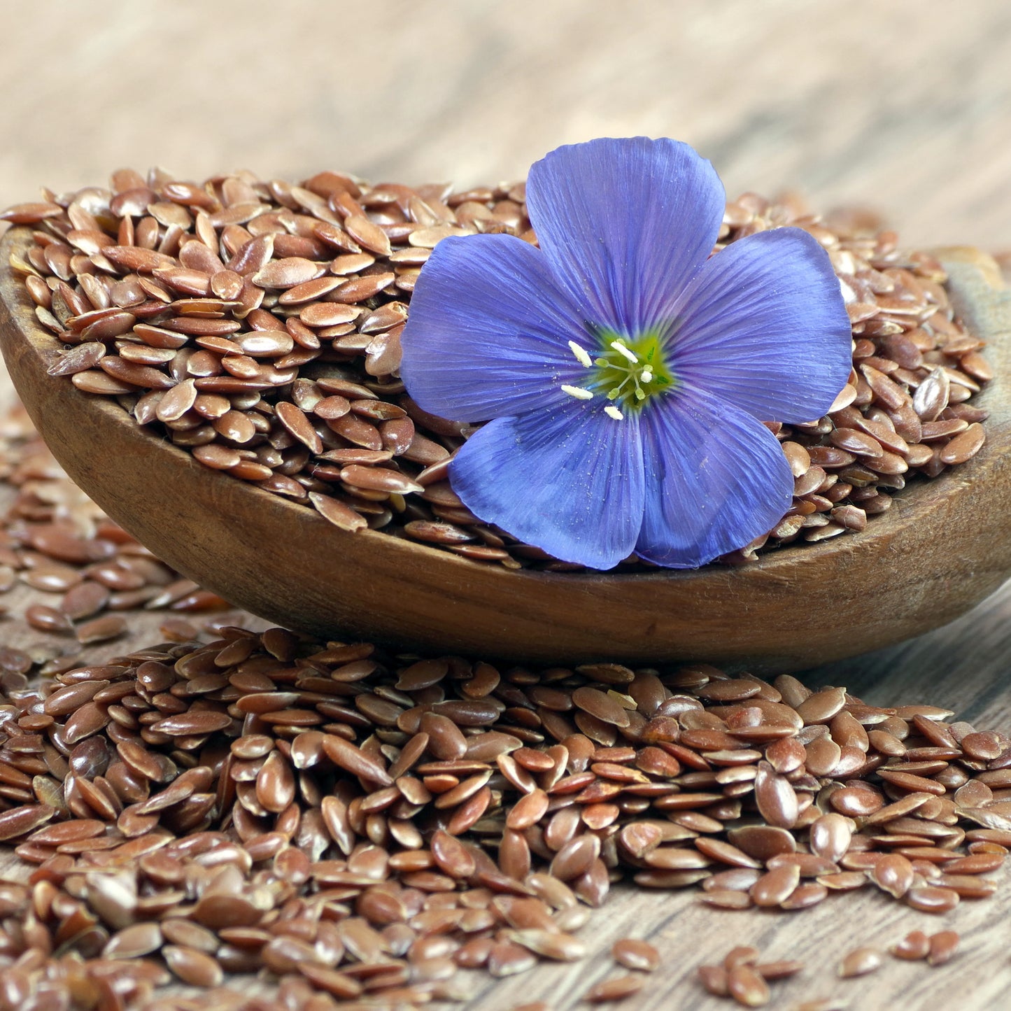 Linseed (flax)